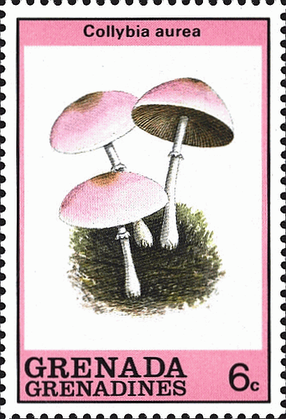 Briefmarke