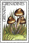 Briefmarke