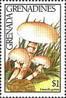 Briefmarke