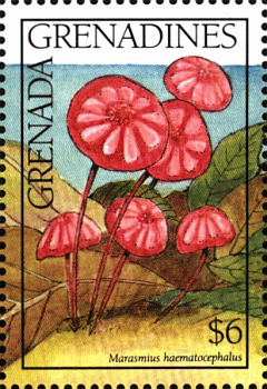 Briefmarke