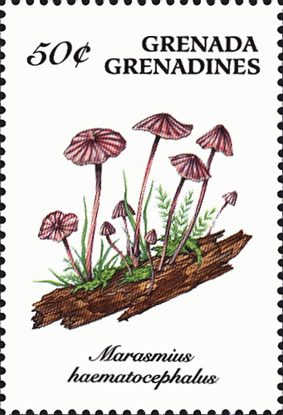 Briefmarke