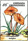 Briefmarke