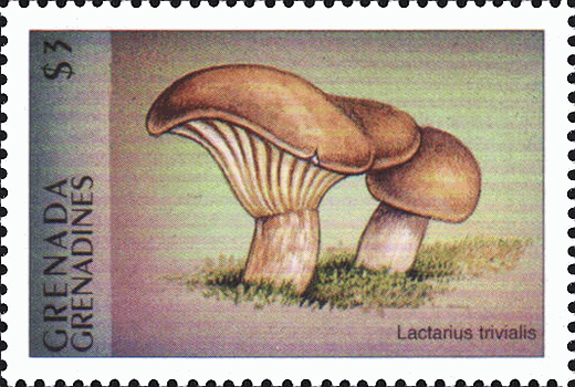 Briefmarke
