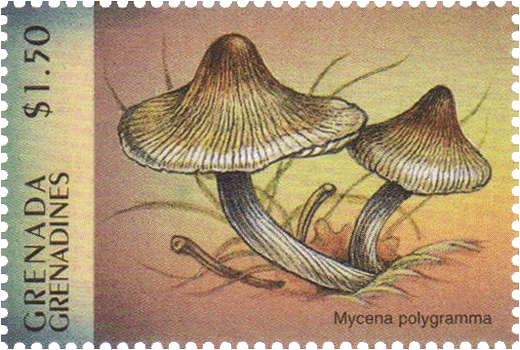 Briefmarke