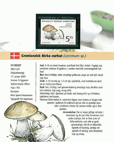 Souvenirbeleg