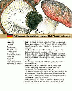 Souvenirbeleg