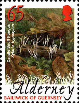 Briefmarke
