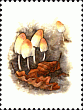 Briefmarke
