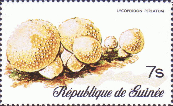 Briefmarke