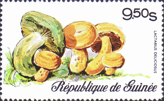 Briefmarke