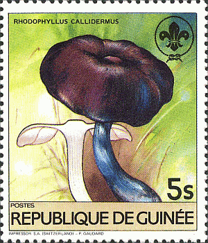 Briefmarke
