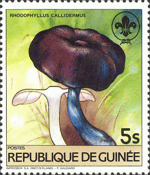 Briefmarke