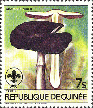 Briefmarke