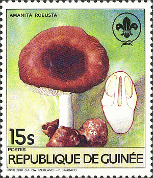 Briefmarke