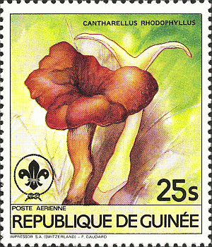 Briefmarke