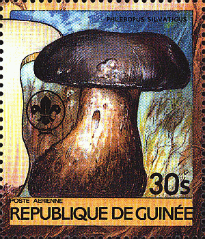Briefmarke