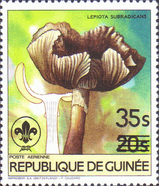 Briefmarke
