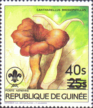 Briefmarke