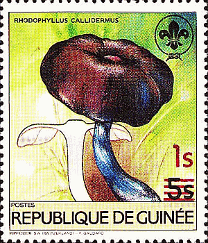 Briefmarke