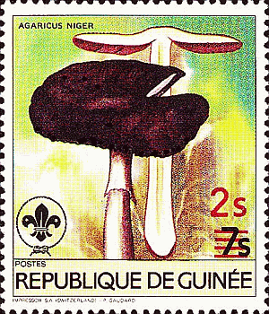 Briefmarke