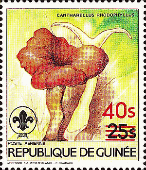 Briefmarke