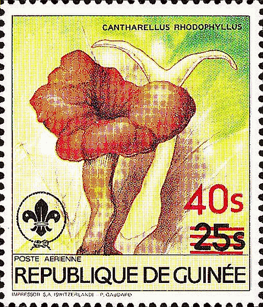 Briefmarke