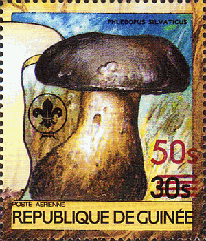 Briefmarke