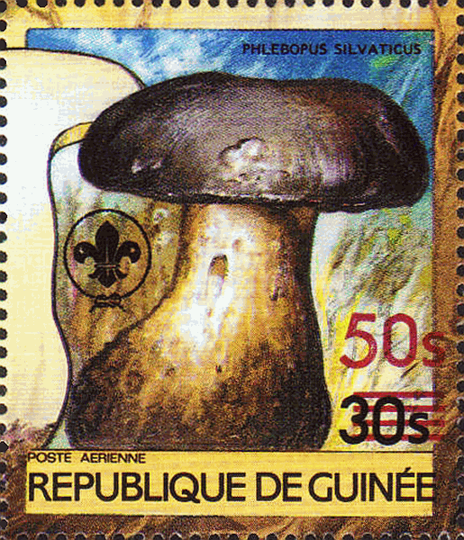 Briefmarke
