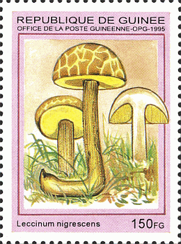 Briefmarke