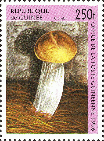Briefmarke