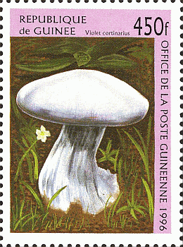 Briefmarke