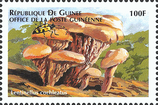 Briefmarke