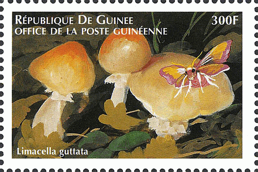 Briefmarke