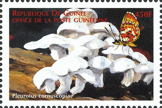 Briefmarke