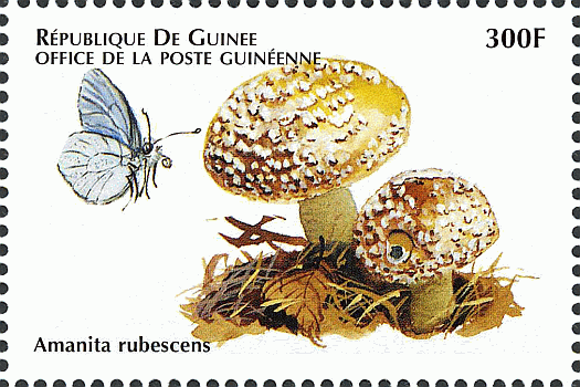 Briefmarke