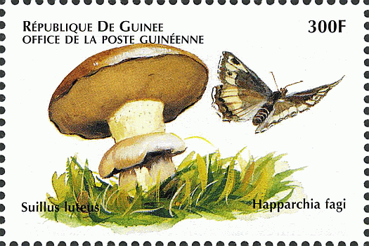 Briefmarke
