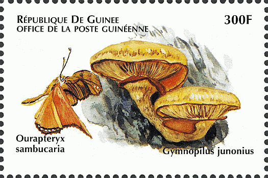 Briefmarke