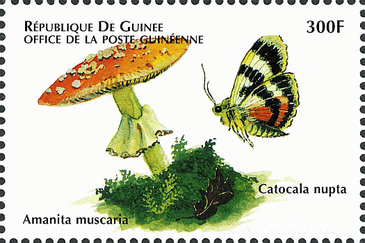 Briefmarke