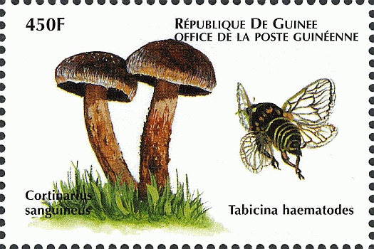 Briefmarke