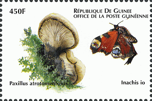 Briefmarke