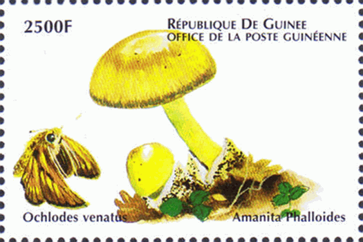 Briefmarke