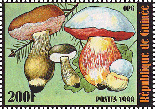 Briefmarke