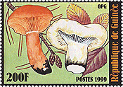 Briefmarke
