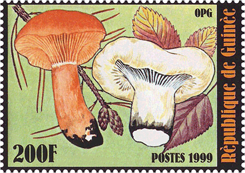 Briefmarke