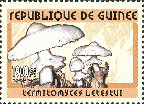 Briefmarke