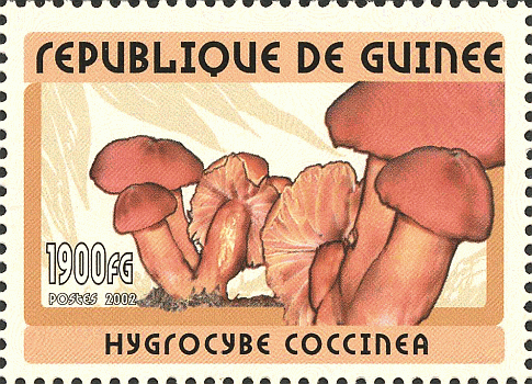 Briefmarke