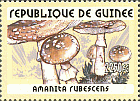 Briefmarke