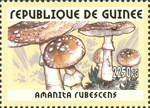 Briefmarke