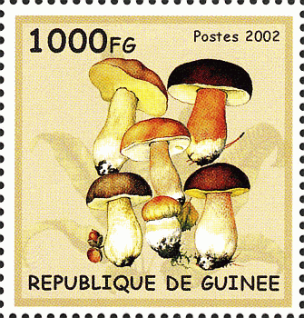 Briefmarke