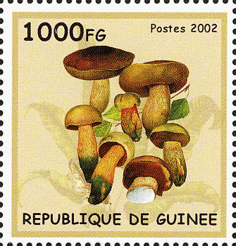 Briefmarke